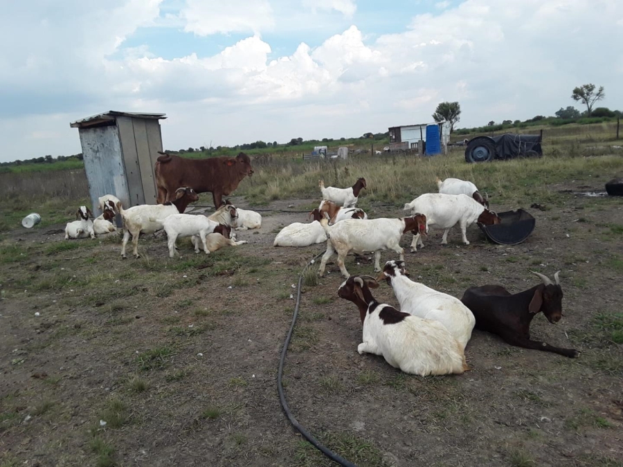 0 Bedroom Property for Sale in Koppies Free State